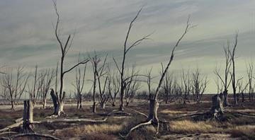 Heat, drought and fire: how extreme weather pushed nature to its limits in 2025