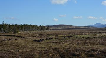 England must destine 7% of land to nature and renewables to hit green targets, data shows