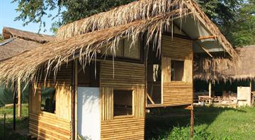 Schools, airports, high-rise towers: architects urged to get ‘bamboo-ready’