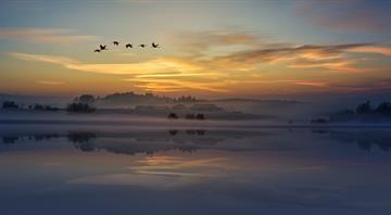Bird populations are shrinking ever faster in the face of climate change and agriculture - US study
