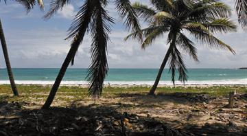 Caribbean islands seek $200 million for regional biodiversity push
