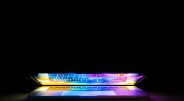 How chemicals from our laptops and TVs have ended up in the brains of dolphins and porpoises