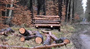 EU to remove leather from anti-deforestation law after industry pressure, officials say