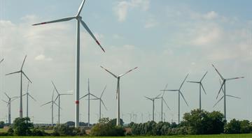 Wind power pacts and pollution-busting kitchen appliances: Positive environmental stories from 2026