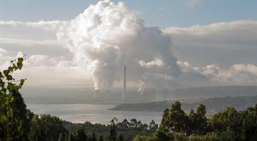 Global carbon markets hit record $79 bln revenue in 2025, ICAP says