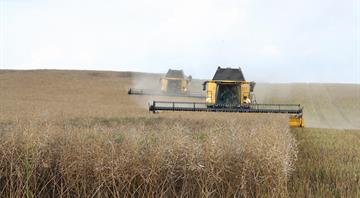 ‘Super’ El Niño could cause global food price shock lasting into 2028, analysts say